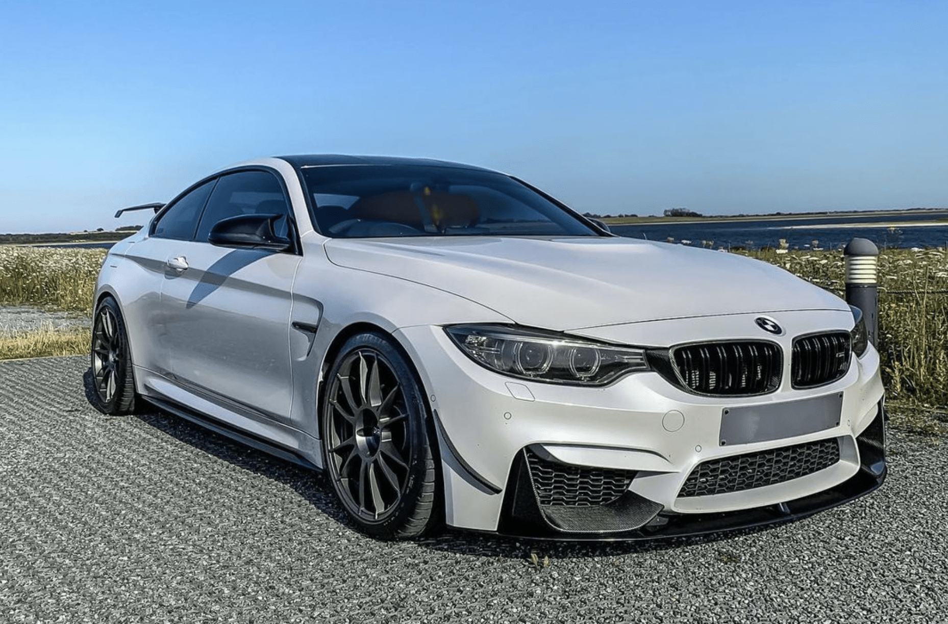 BMW M3/M4 (F80/F82/F83) M Style Carbon Fibre Front Grilles - Twenty Two Tuning Front Grille